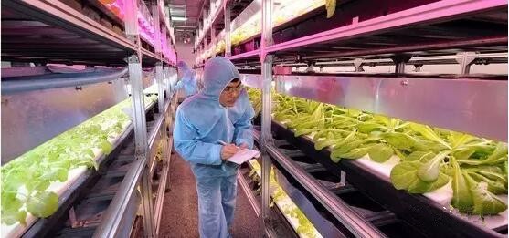 2017年LED行業(yè)的下一片藍(lán)海在哪里？