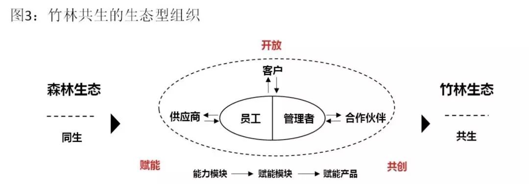 京東和聯(lián)合利華玩起“人才互換培養(yǎng)”，這是如何運(yùn)行的？