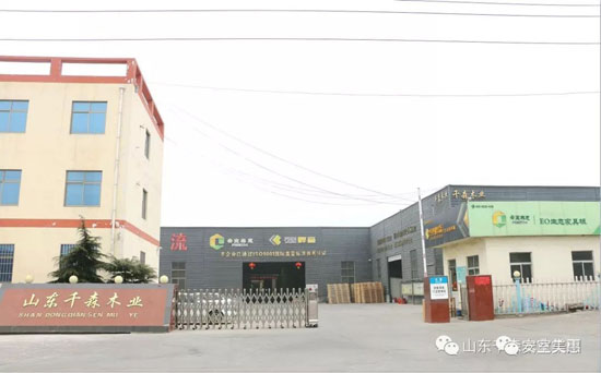 安室美惠板材，等待你發(fā)現(xiàn)的美