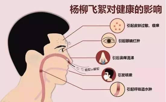 柳絮過敏讓你鼻子發(fā)癢，空氣堡新風(fēng)系統(tǒng)讓你舒爽