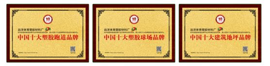 遠洋塑膠跑道14周年慶運動會：熱愛運動，活力迸發(fā)