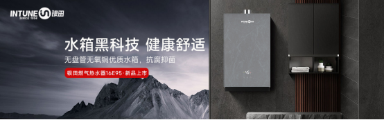 銀田16E95燃?xì)鉄崴鳎侯嵏矀鹘y(tǒng)，引領(lǐng)未來，只為締造卓越